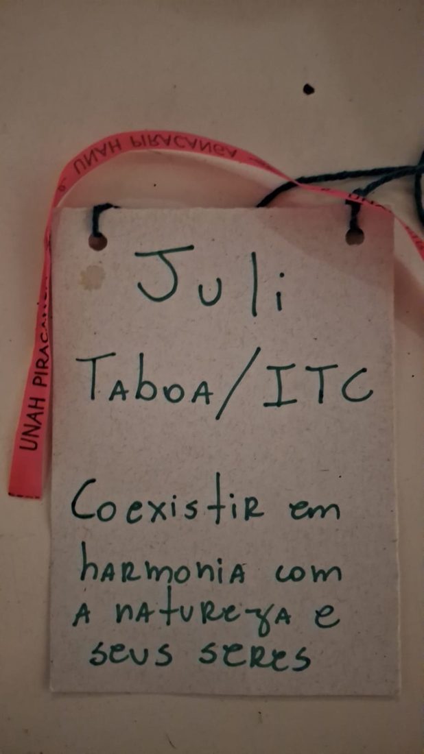Crachá da Juli, Taboa e ITC: coexistir em harmonia com a natureza e seus seres