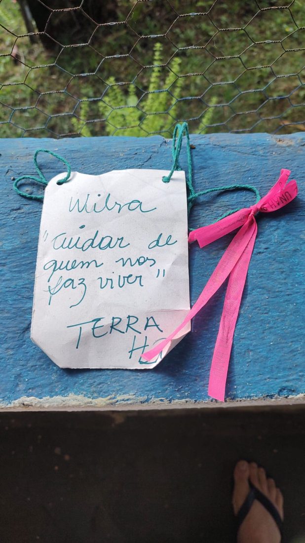 Crachá da Wilsa: cuidar de quem nos faz viver, a terra